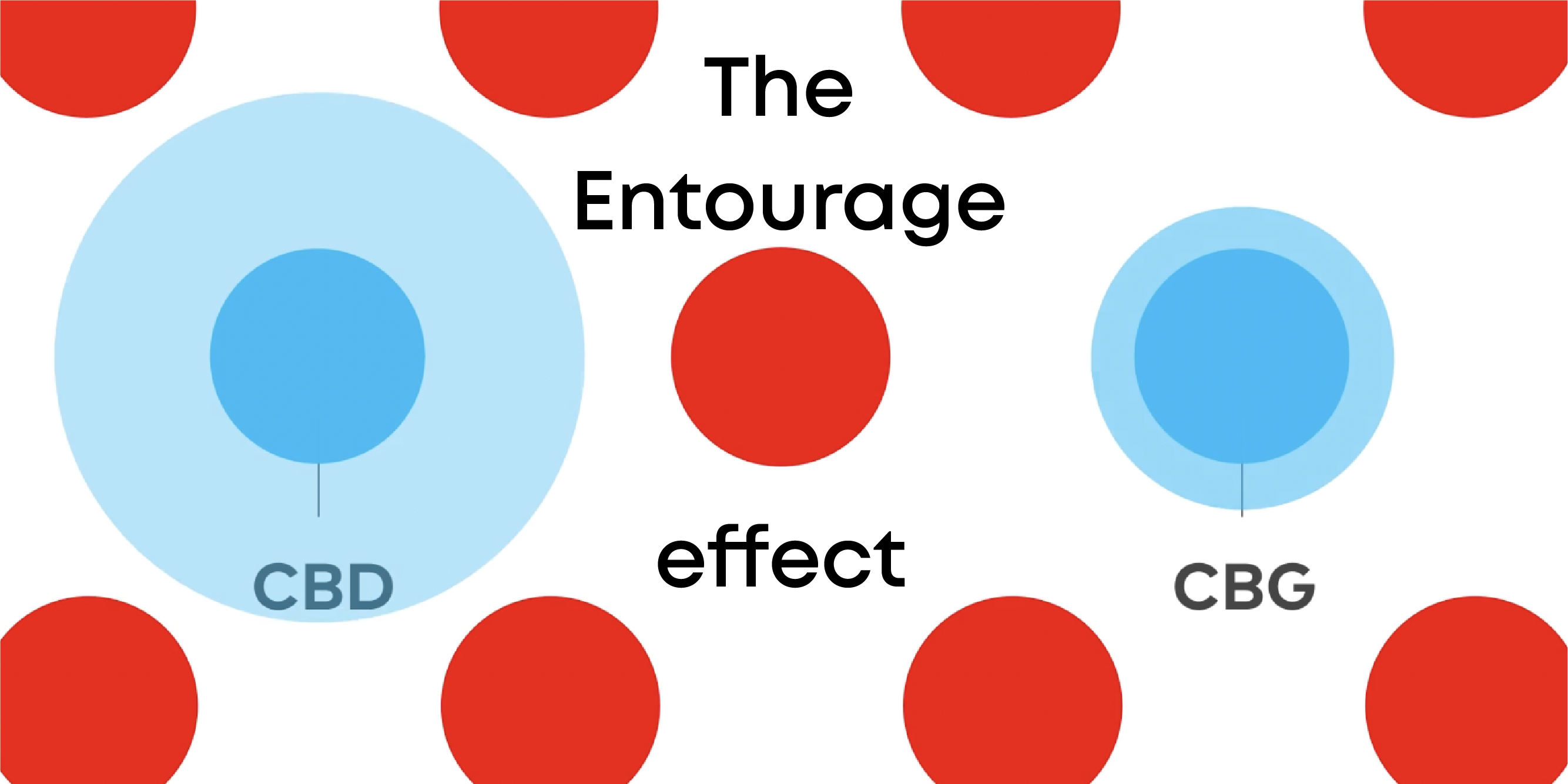 The Entourage effect