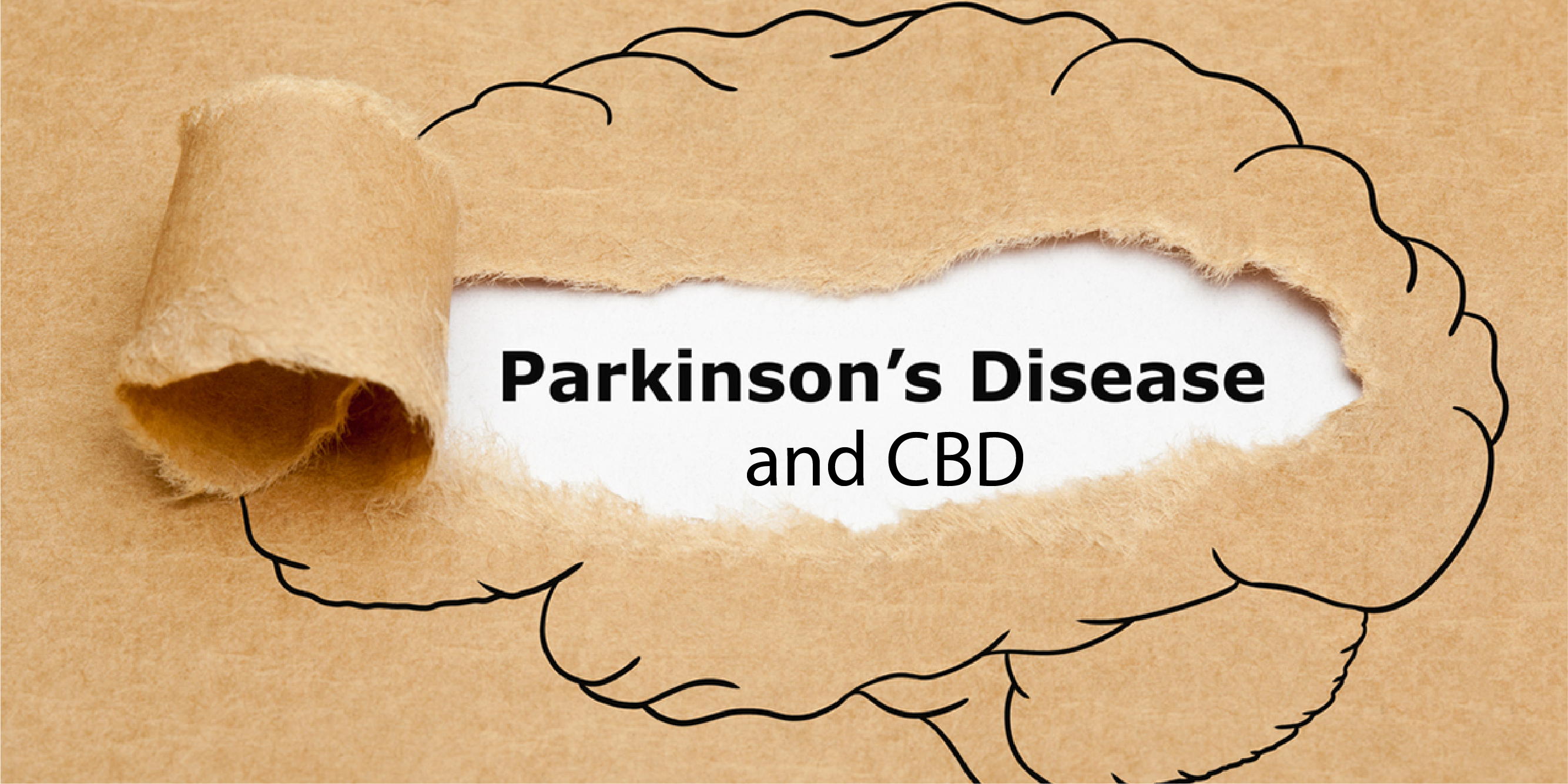 Parkinson’s disease and CBD